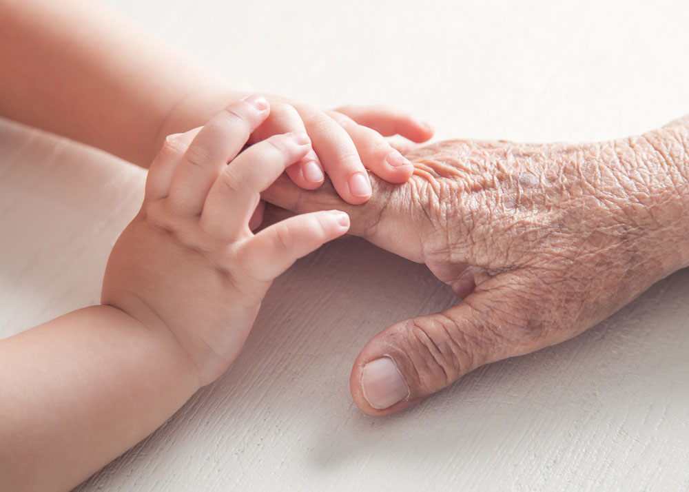Baby hands holding the hand of an older person 