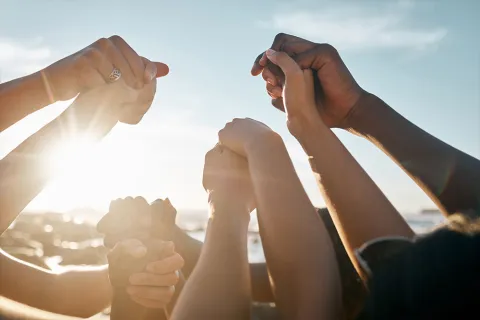 People holding hands in the sunlight